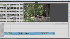 Adobe Premiere Elements 2022 Crack With Activation Key Free Download